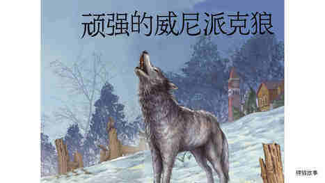 顽强的威尼派克狼绘本故事第2页