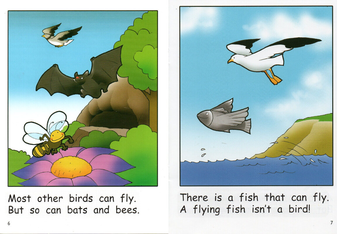 Why Is A Bird A Bird绘本故事第5页