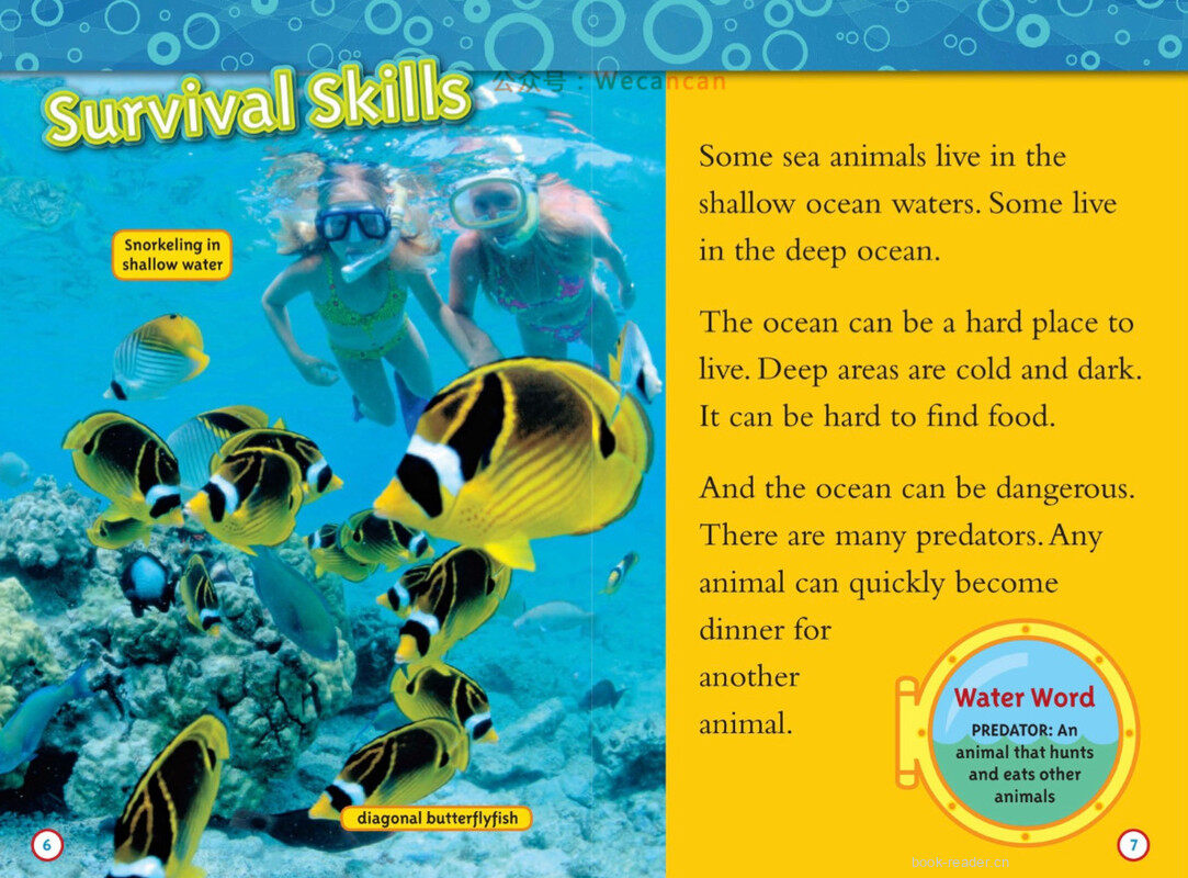 Weird Sea Creatures绘本故事第4页