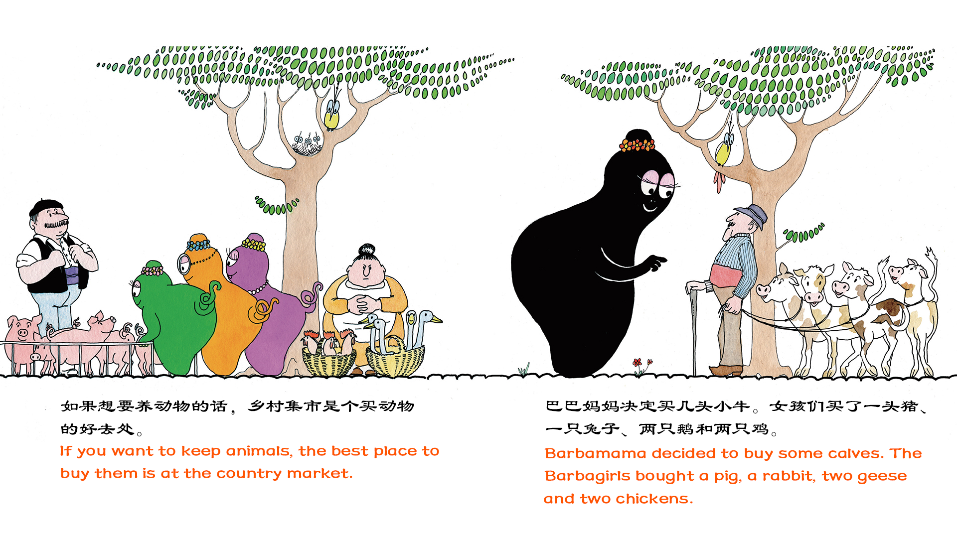 巴巴妈妈养小牛（双语）绘本故事第3页