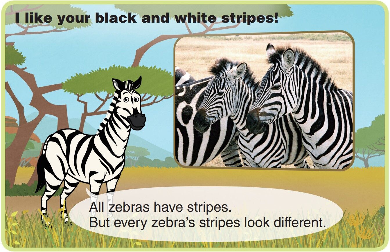 Zebra绘本故事第5页