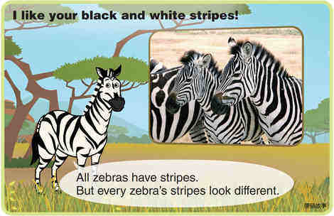 Zebra绘本故事第5页