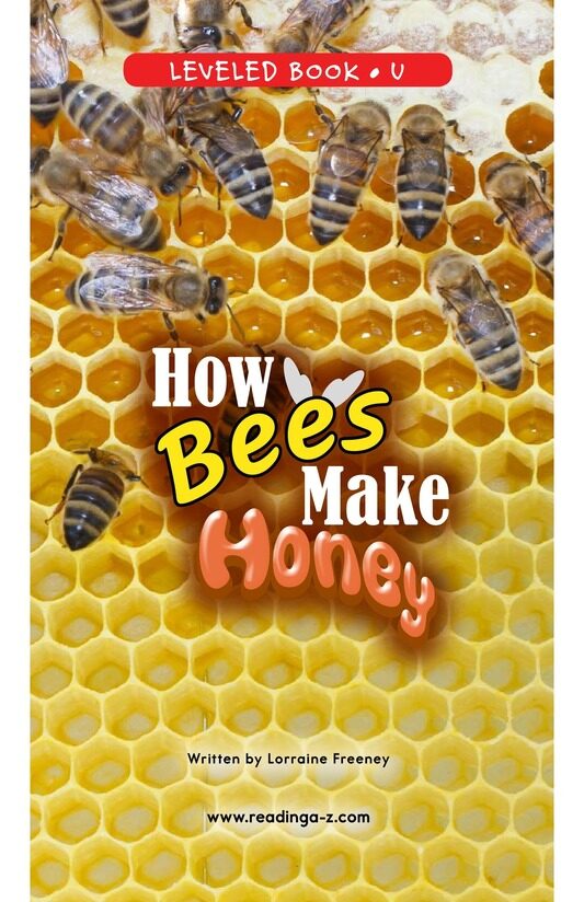 How Bees Make Honey绘本故事第2页