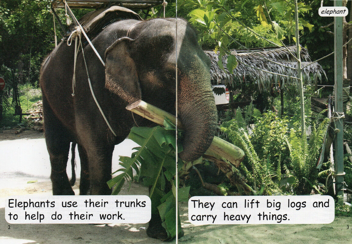 working animals绘本故事第3页