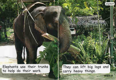 working animals绘本故事第3页