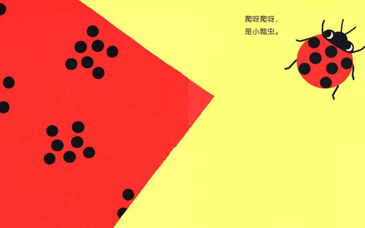 开心宝宝亲子游戏绘本——什么，这是什么绘本故事第3页