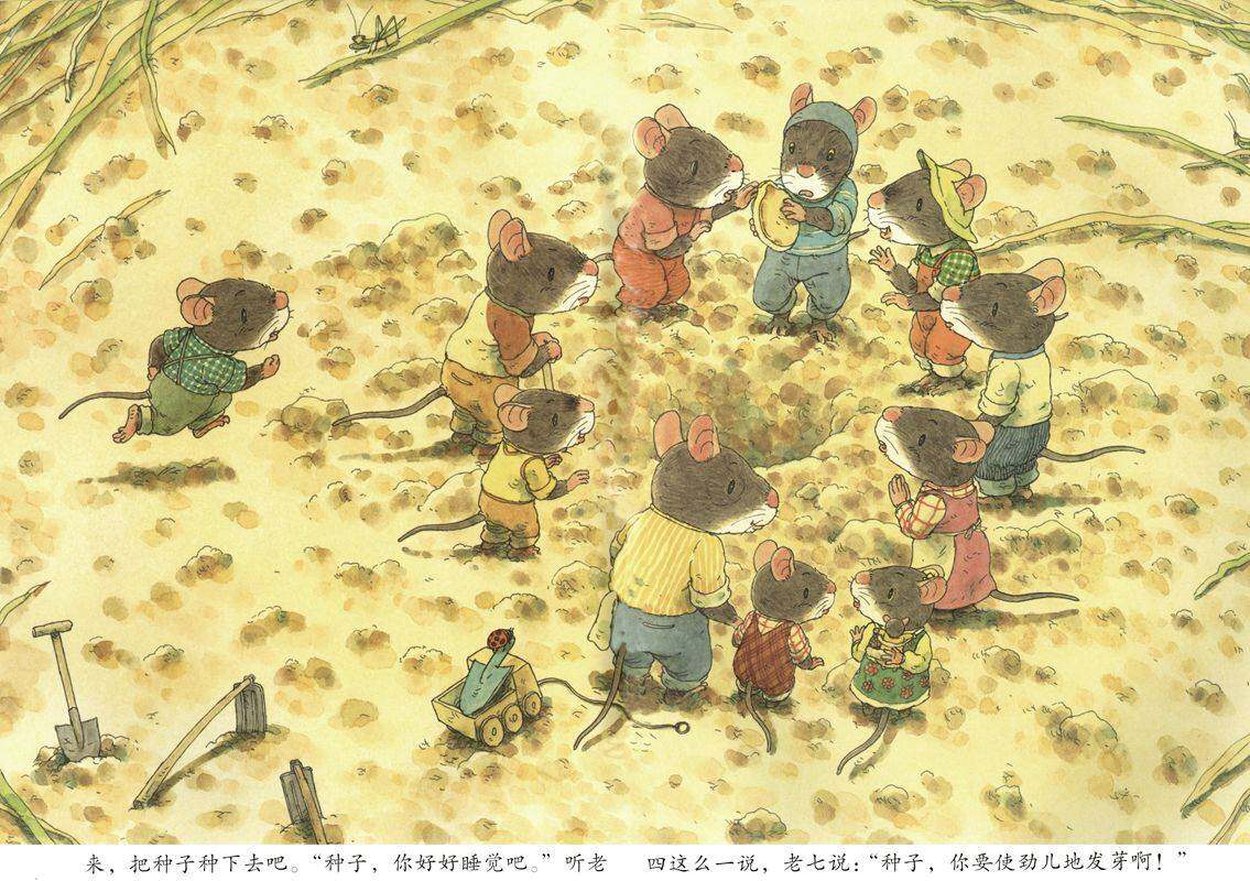 14只老鼠种南瓜绘本故事第4页