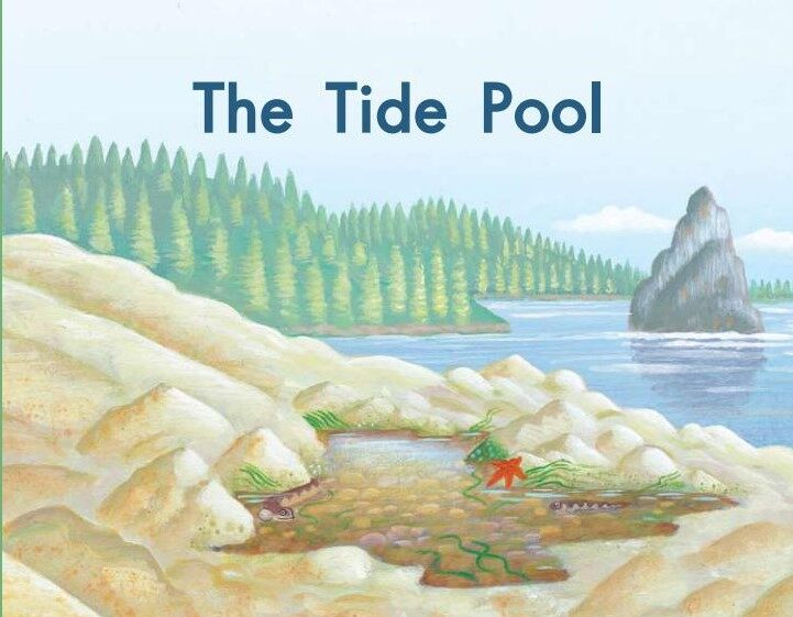 The Tide Pool绘本故事第2页