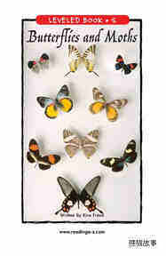 Butterflies and Moths