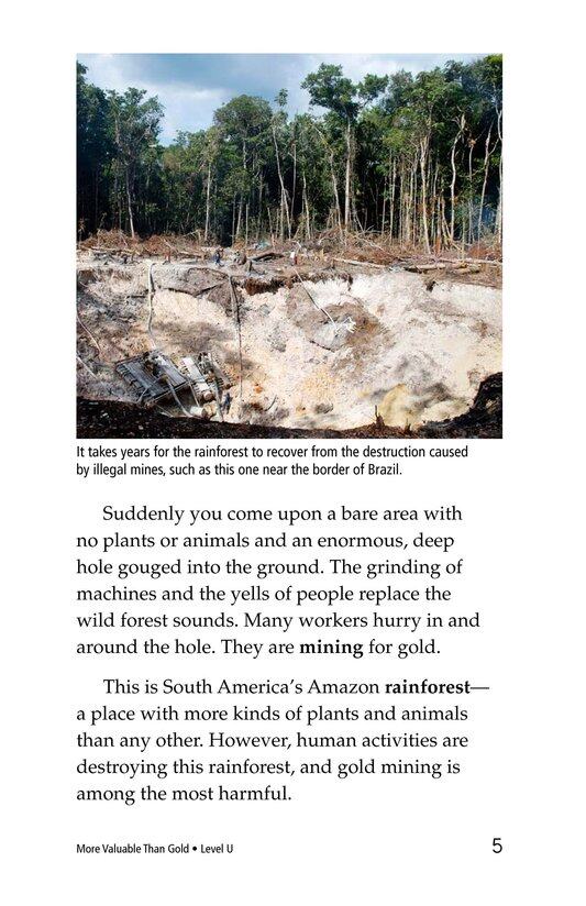 More Valuable Than Gold绘本故事第4页