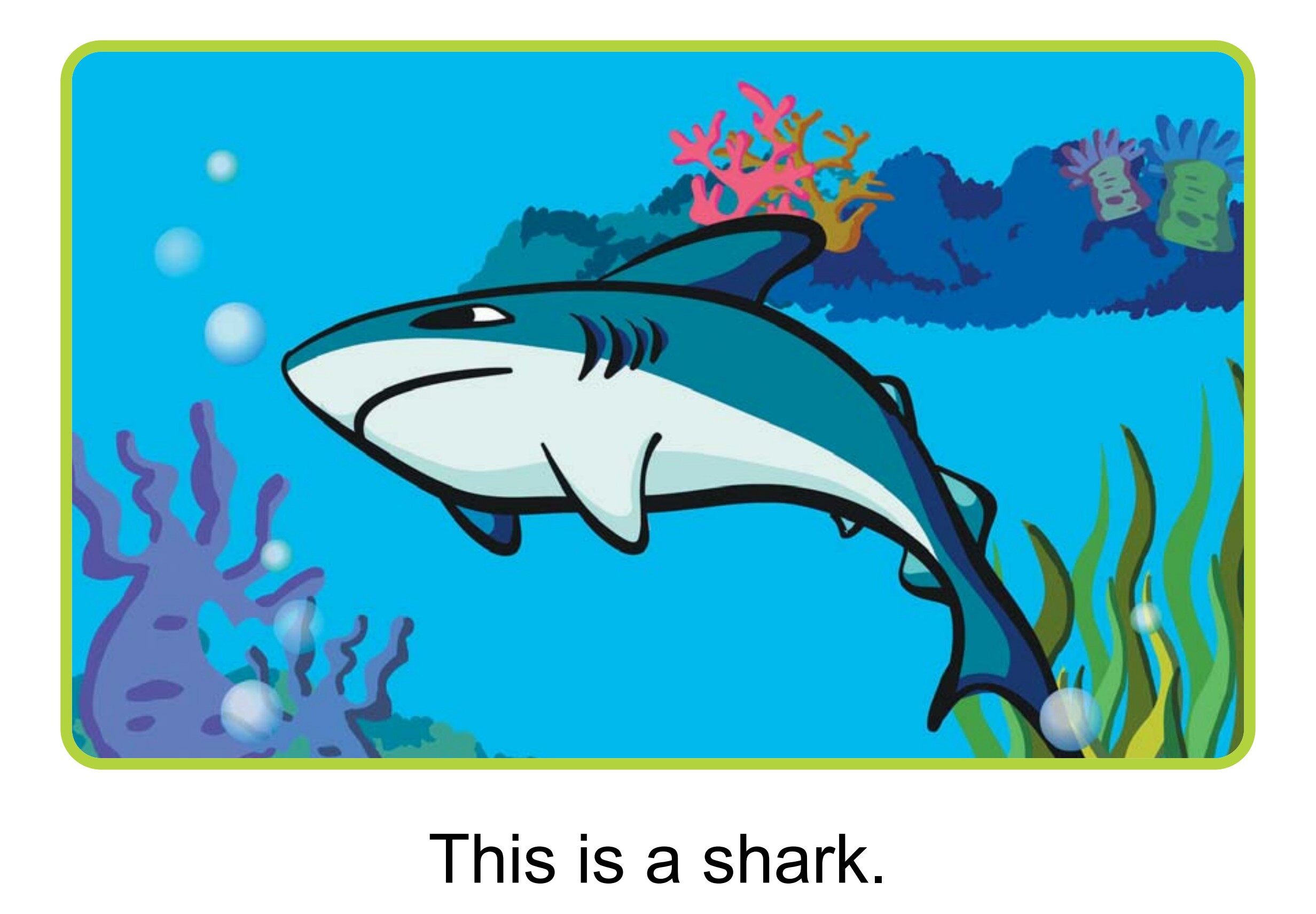 What Is in the Sea绘本故事第4页