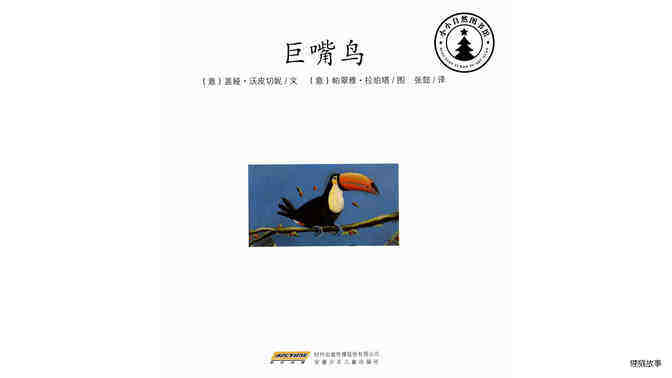 巨嘴鸟绘本故事第2页