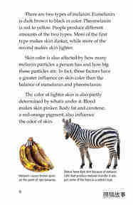 Skin Color绘本故事第5页