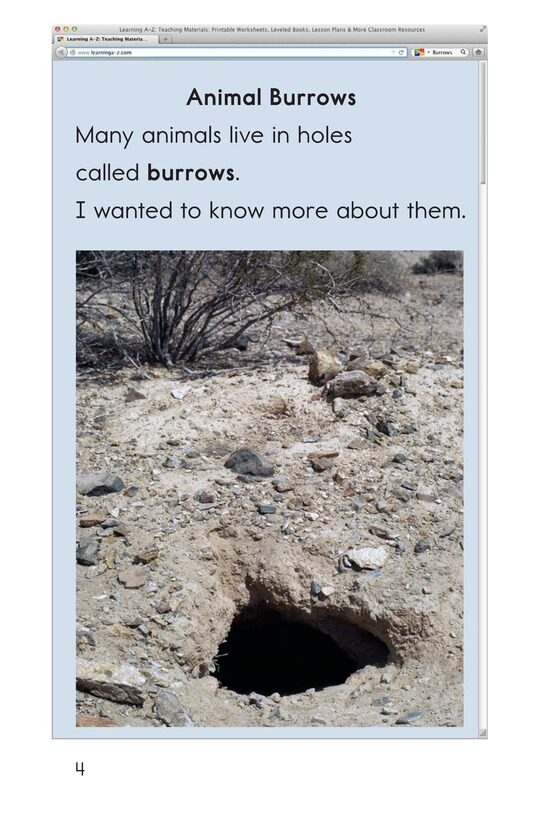 What Lives in This Hole绘本故事第3页