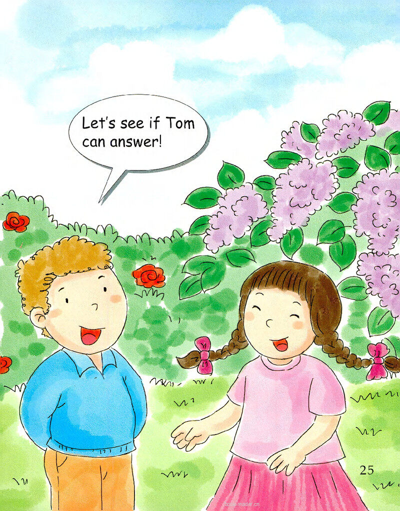 Riddle绘本故事第3页