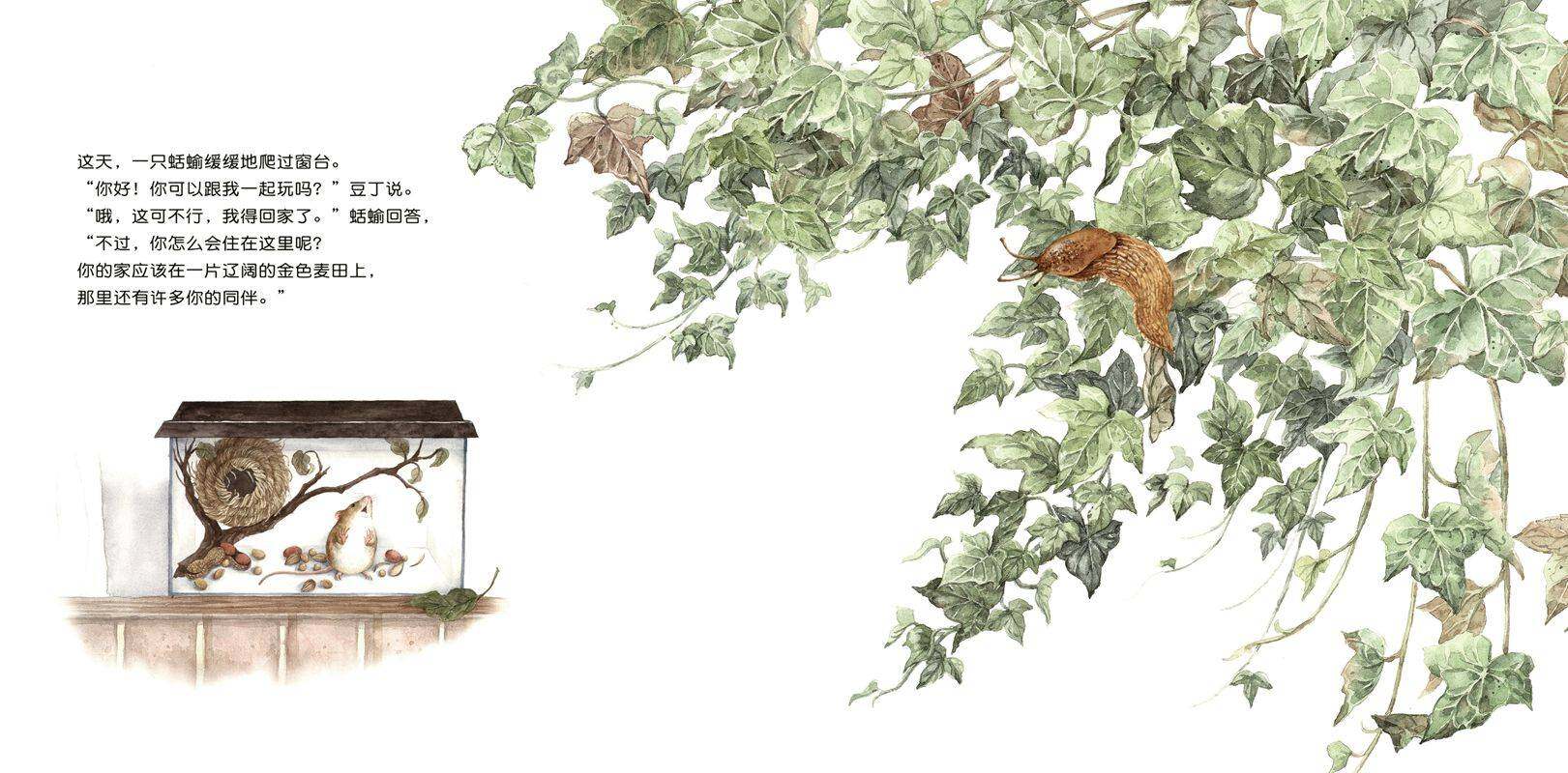 豆丁要回家绘本故事第3页