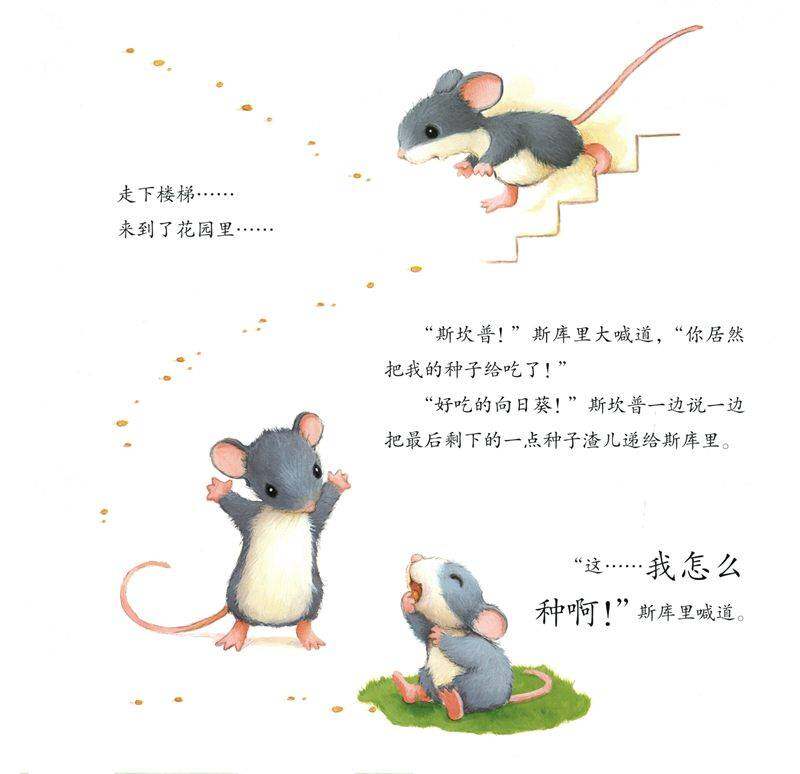 暖房子经典绘本系列·第八辑·奇妙篇：妈妈的小小向日葵绘本故事第4页