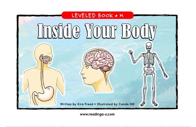 Inside Your Body绘本故事第2页