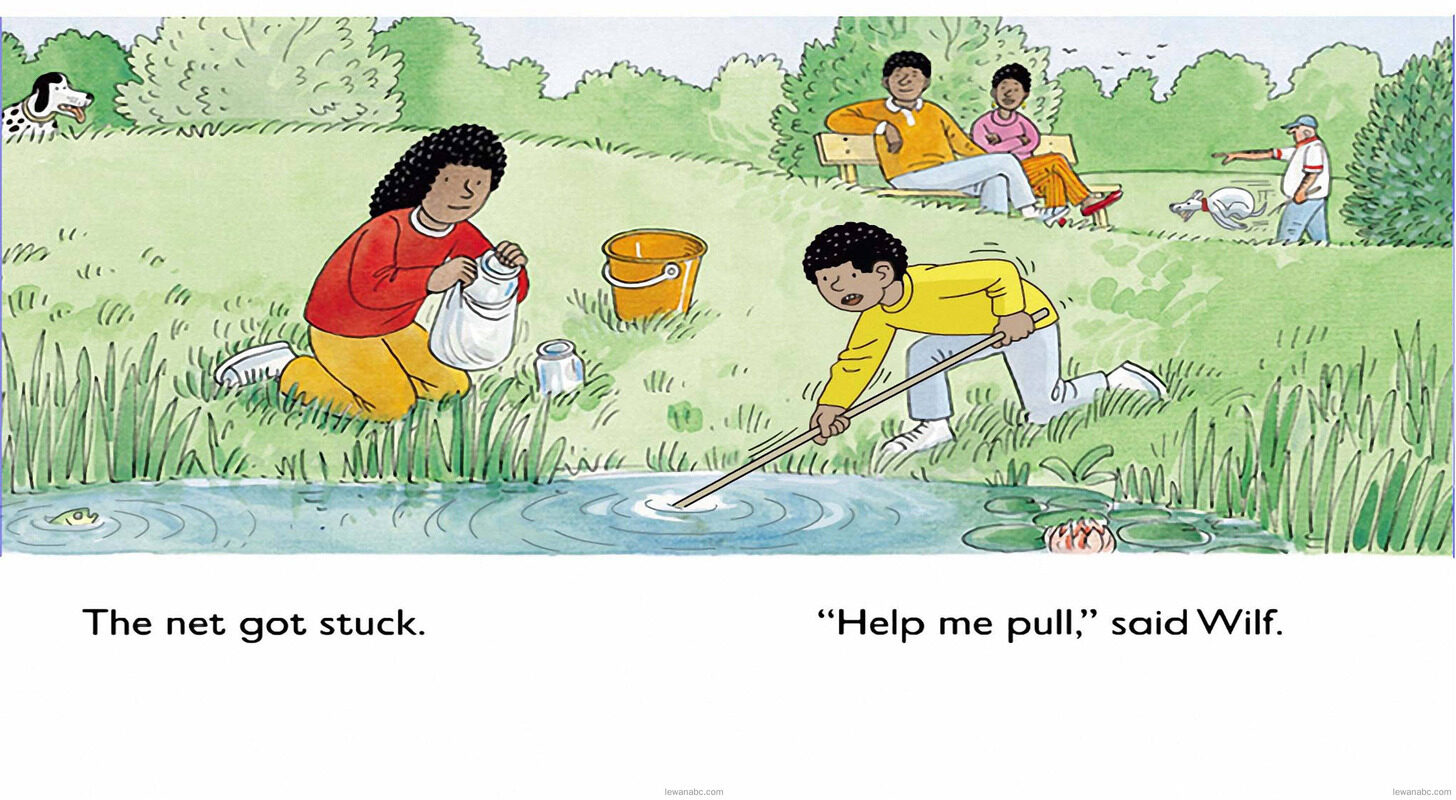 Pond Dipping绘本故事第4页