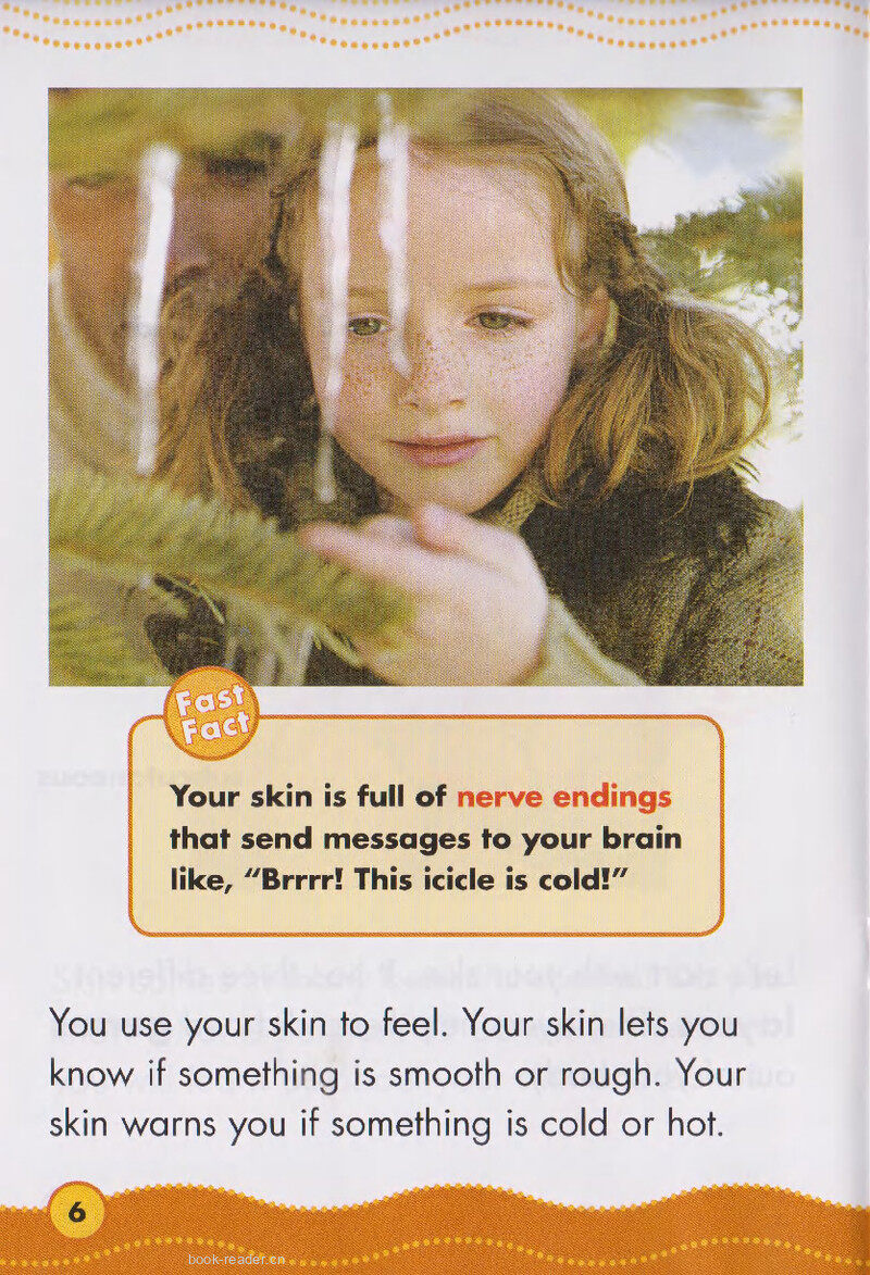 Your Skin and Bones绘本故事第5页