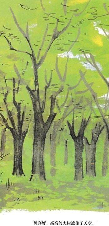 树真好绘本故事第2页