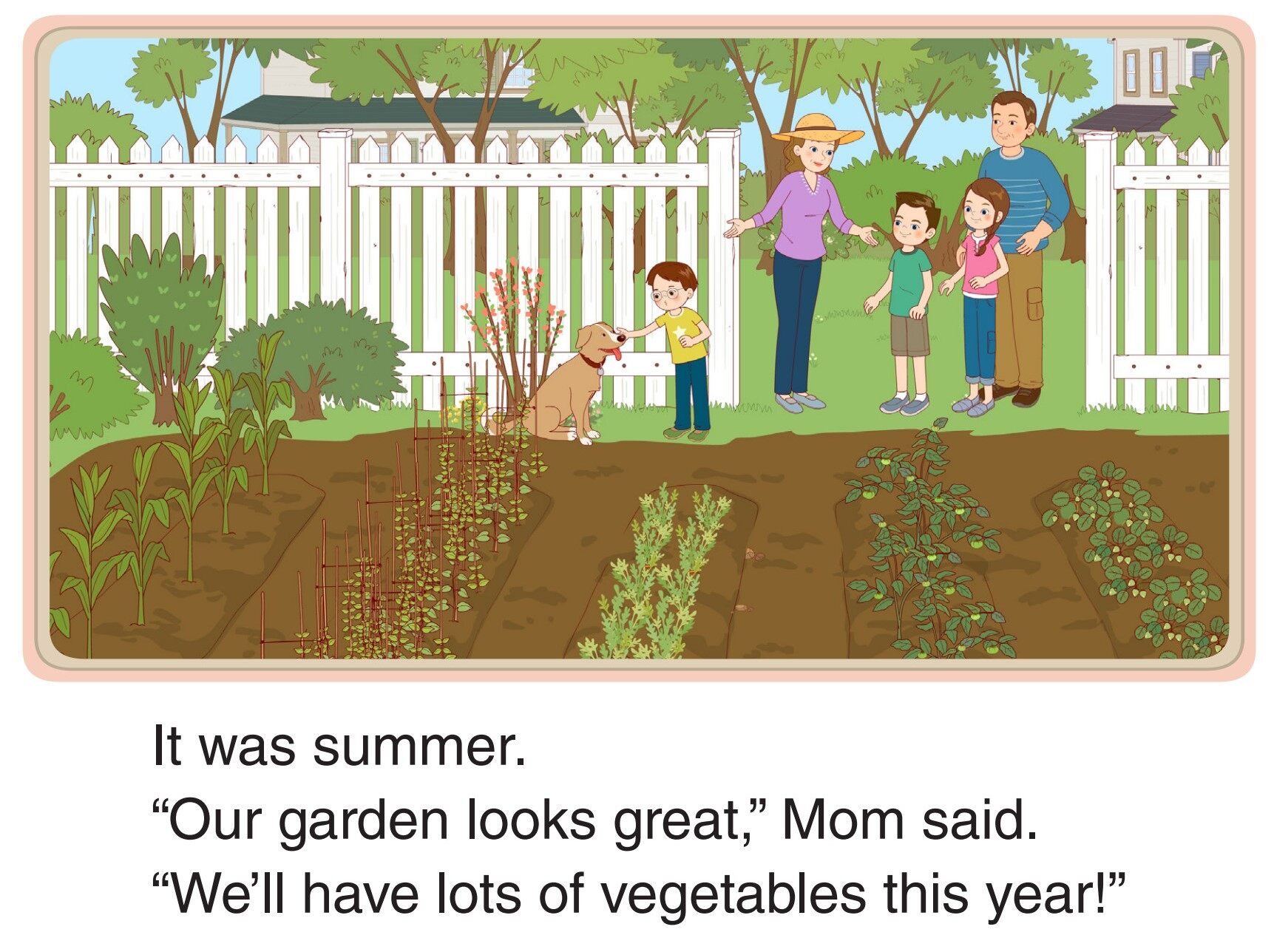 Garden Harvest绘本故事第2页