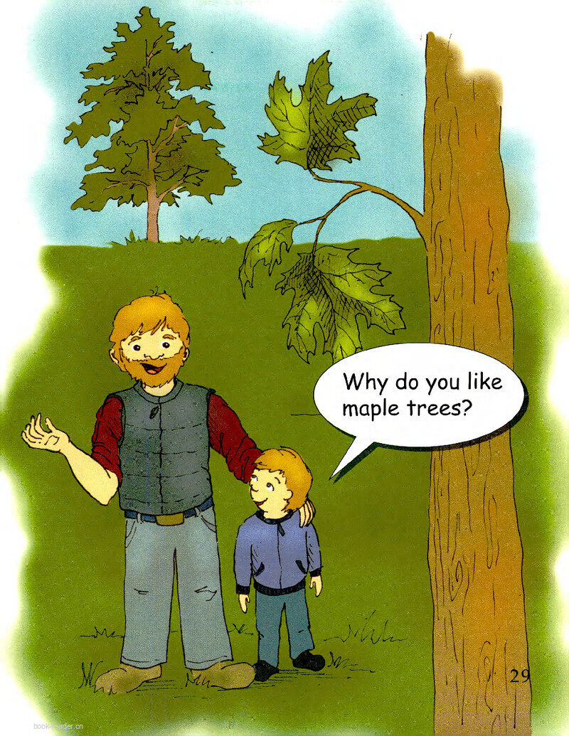 Maple Tree绘本故事第3页