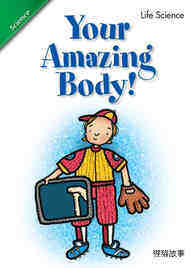 Your Amazing Body!