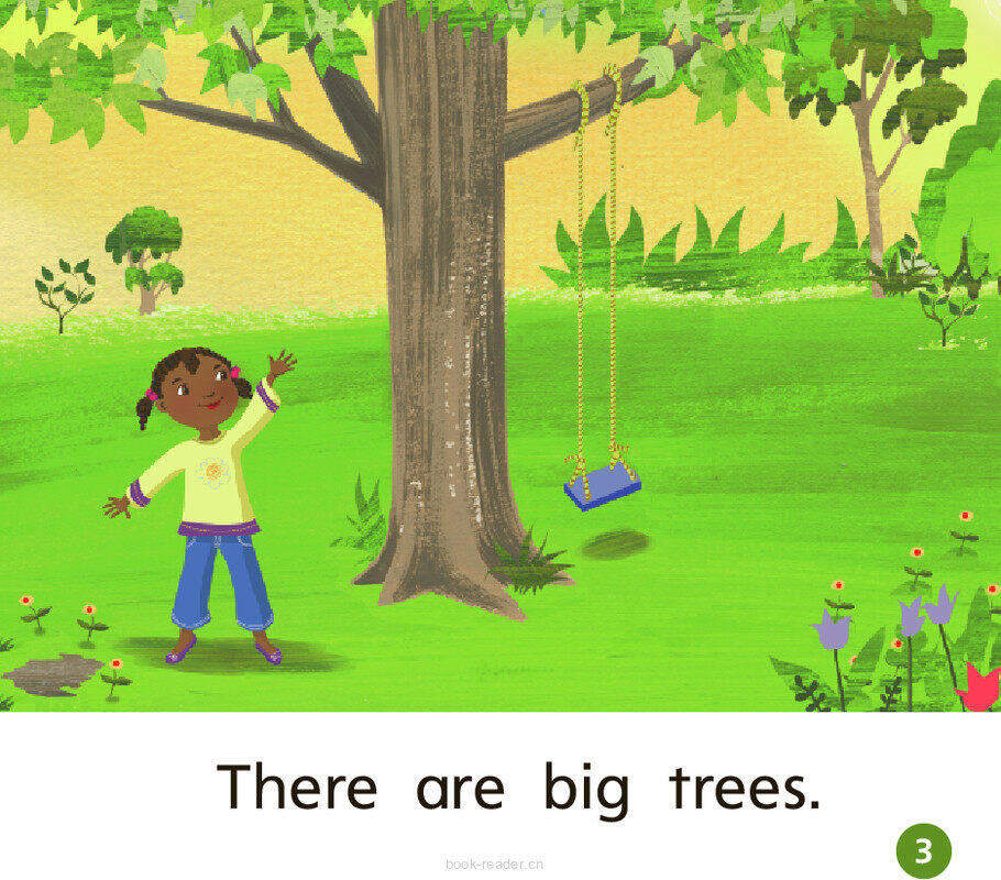 GK On U05W2 Many Trees绘本故事第4页