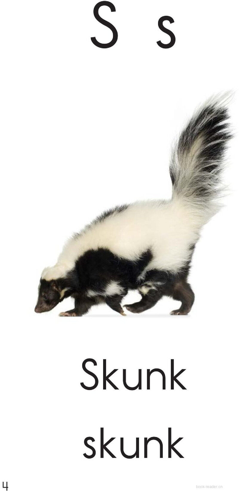 Letter S绘本故事第4页
