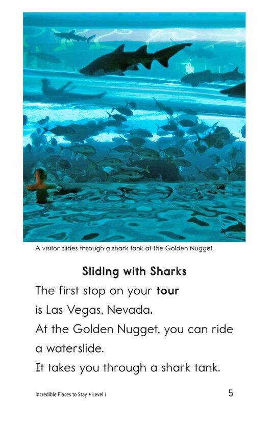 Incredible Places to Stay绘本故事第4页