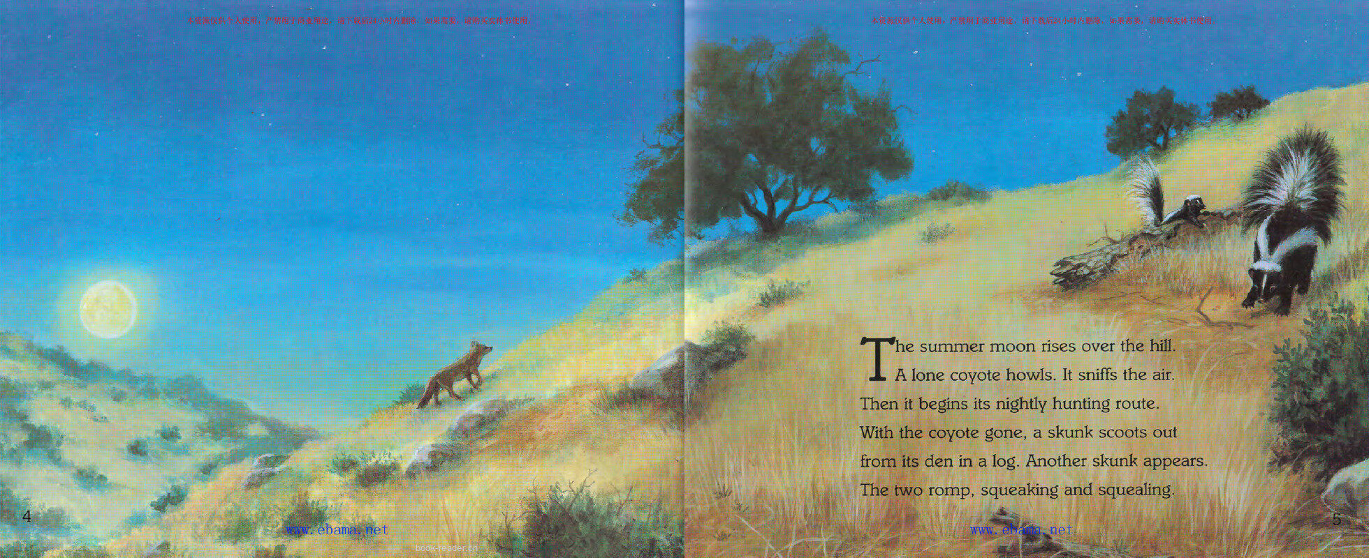 Where Are the Night Animals绘本故事第3页