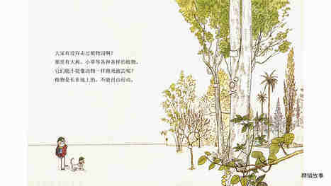 生命是连在一起的绘本故事第5页