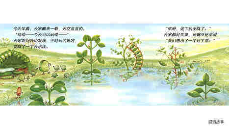 蚕豆大哥和小鱼绘本故事第4页