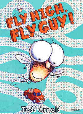 Fly High Fly Guy