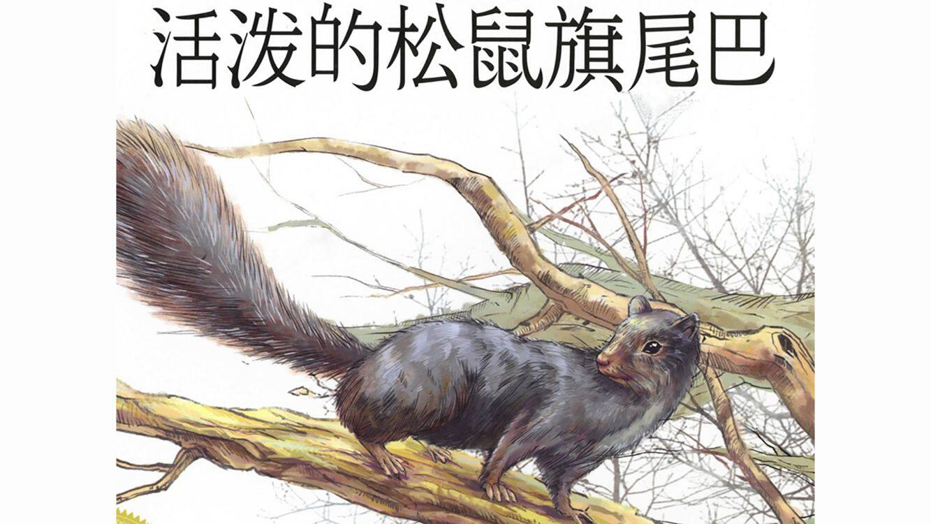 活泼的松鼠旗尾巴绘本故事第2页