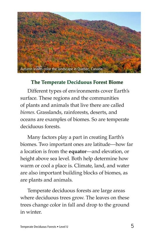 Temperate Deciduous Forests绘本故事第4页