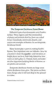 Temperate Deciduous Forests绘本故事第4页