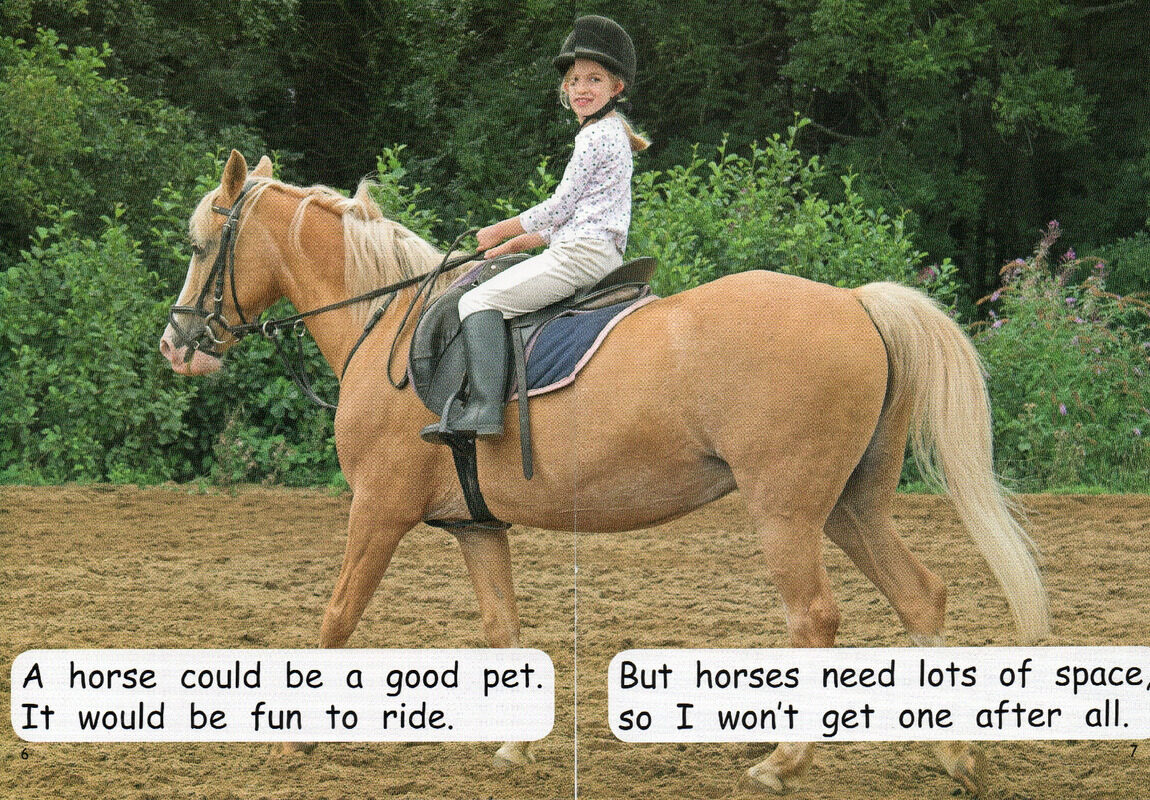 perfect pets绘本故事第5页