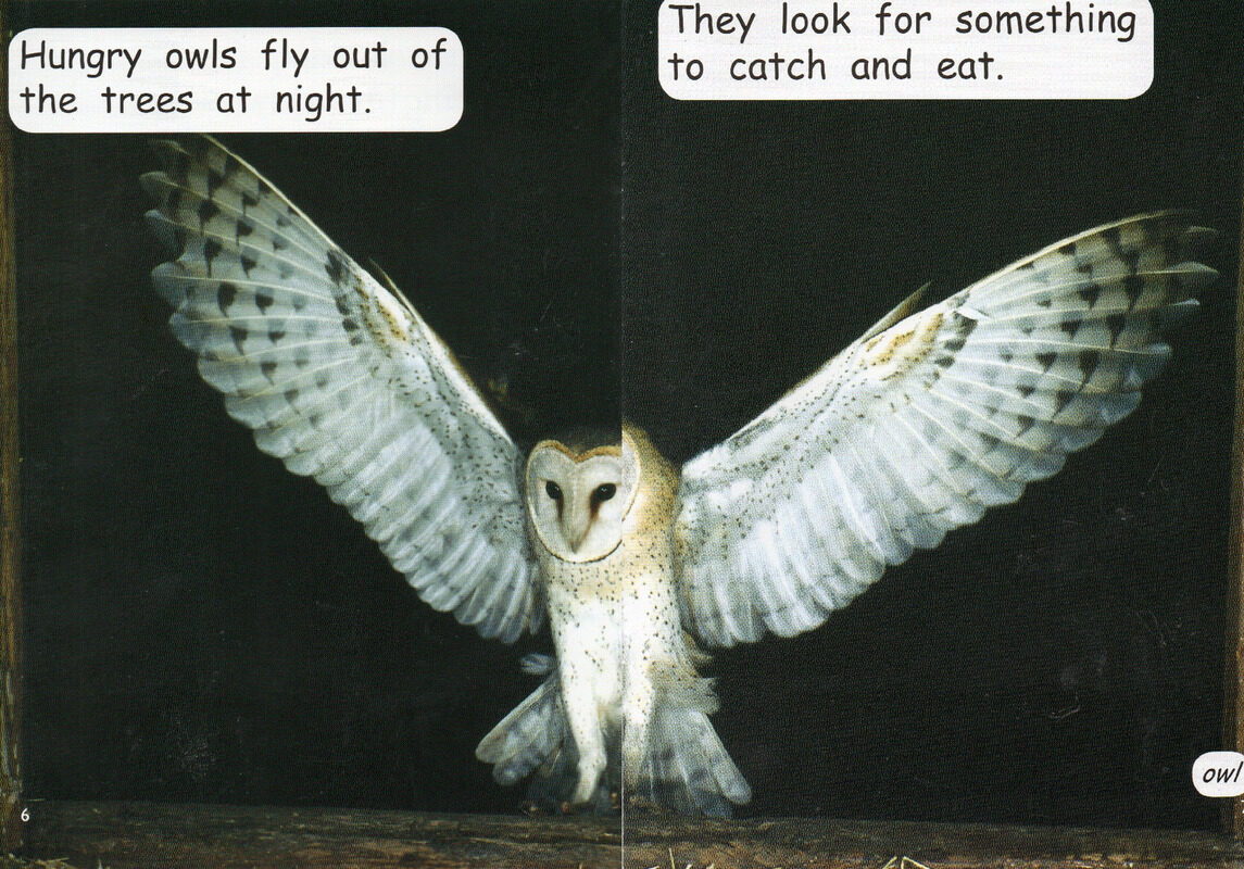 after dark绘本故事第5页