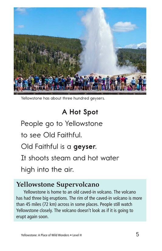 Yellowstone:A Place of Wild Wonders绘本故事第4页