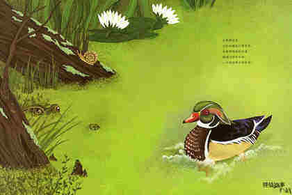 动物成长故事绘本：鳄鱼觅食记绘本故事第3页