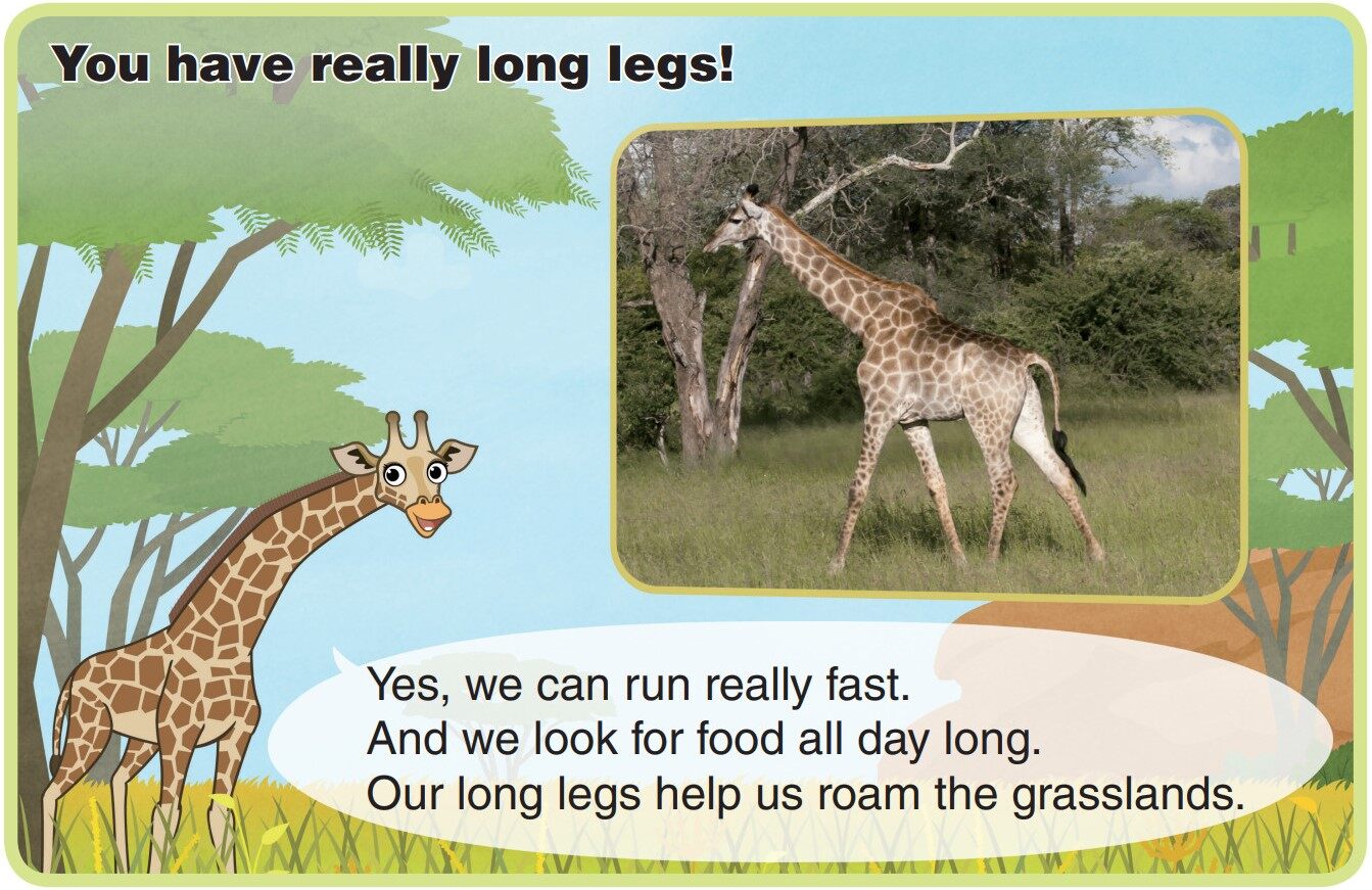 Giraffe绘本故事第5页