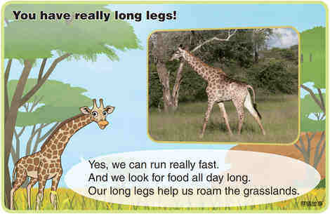 Giraffe绘本故事第5页