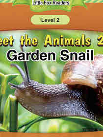 Garden Snail