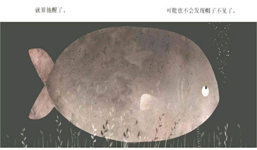 这不是我的帽子绘本故事第5页