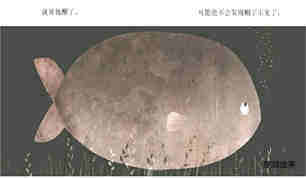 这不是我的帽子绘本故事第5页