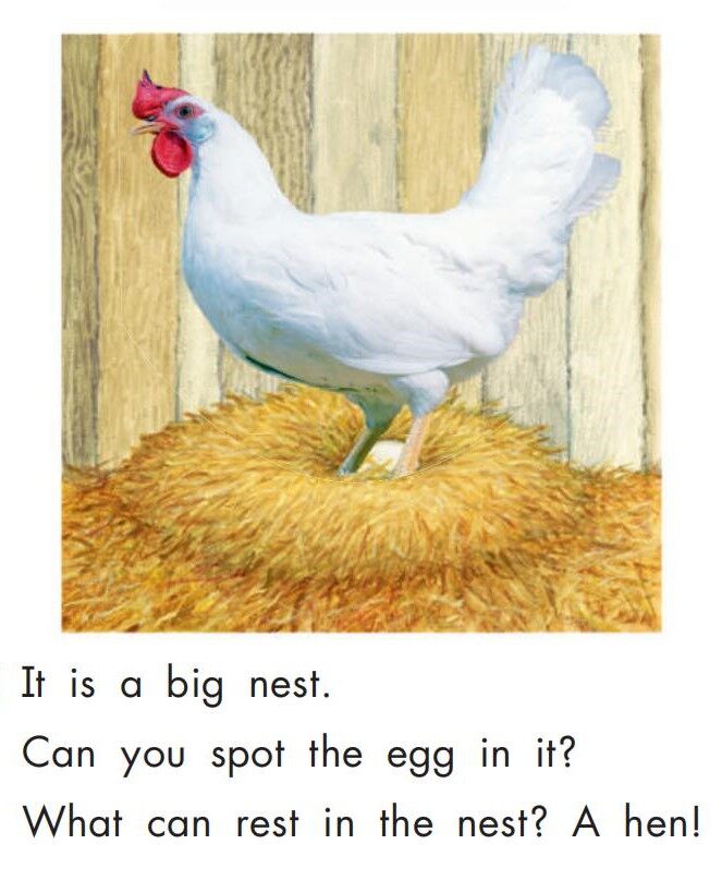 Animals at Home绘本故事第3页