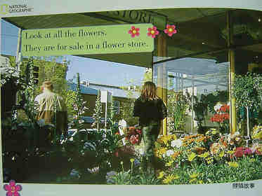 from field to florist绘本故事第3页