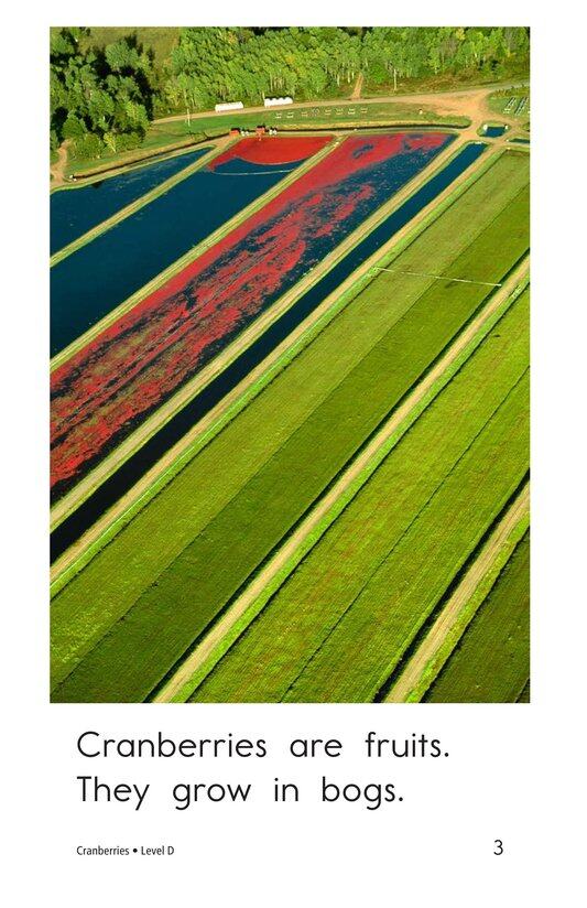 Cranberries绘本故事第3页